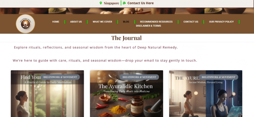 web design Singapore portfolio case study screenshot